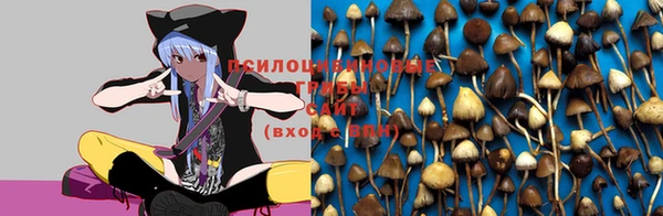 a pvp Зеленодольск
